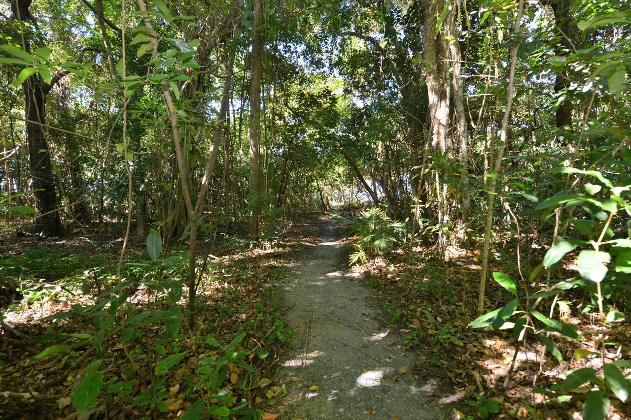 Villa Frangipani Port Douglas Eksteriør billede